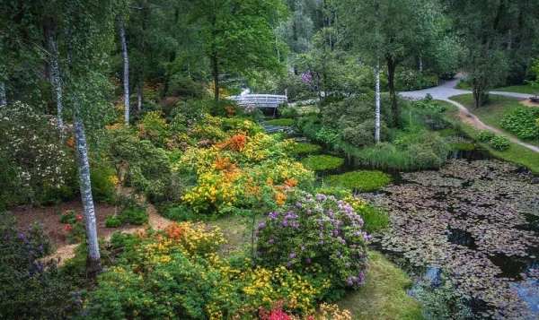 Sea of blossoms in a natural moor landscape Wide diversity of flora and a paradise for birds Sale of plants at the park entrance Discovery trails for children and adults Seleger Moor is one of the most important upland moors in the canton of Zurich